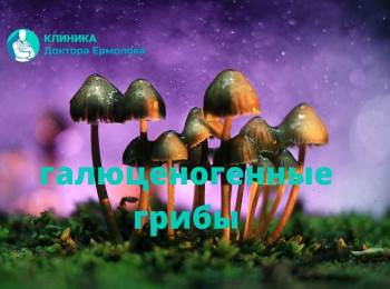Галлюциногенные грибы